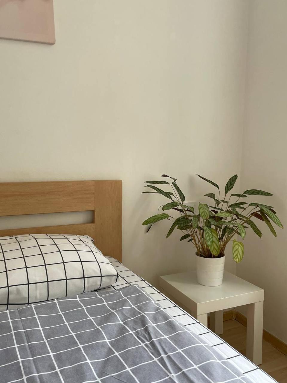 Apartaments Simsim 利沃夫 外观 照片
